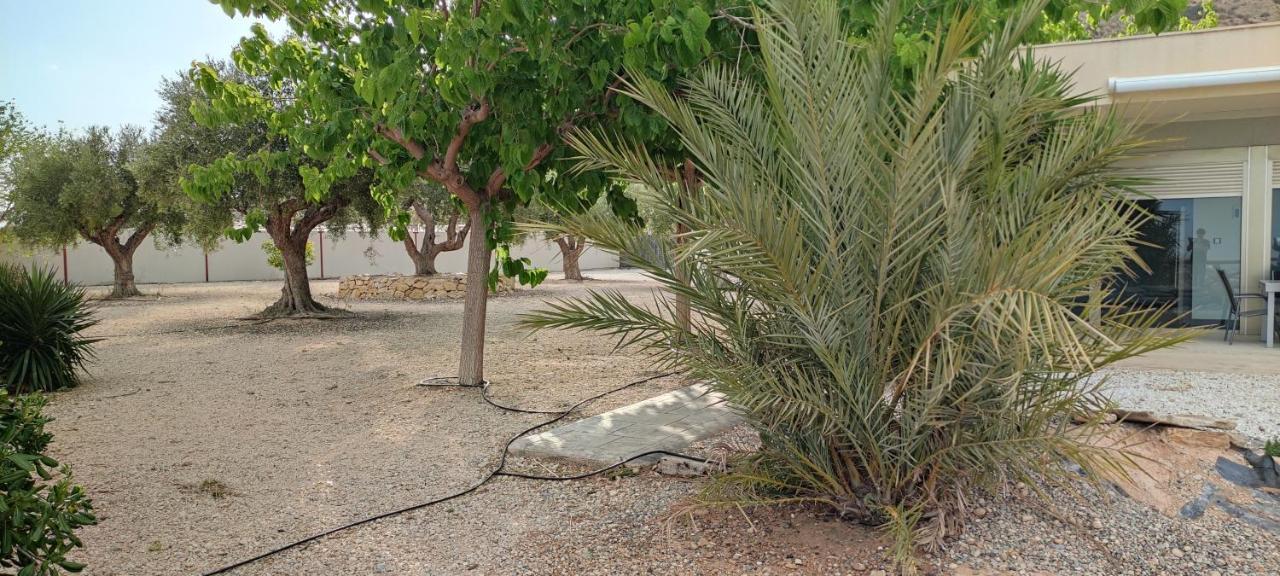 הוילה Casa Con Vistas En Agost מראה חיצוני תמונה